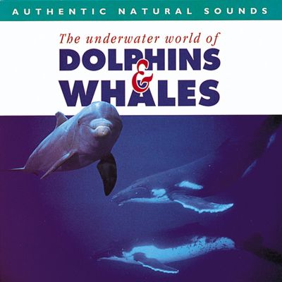 Dolphins & Whales CD | Sensory Room Music & DVDs | Theme Setting